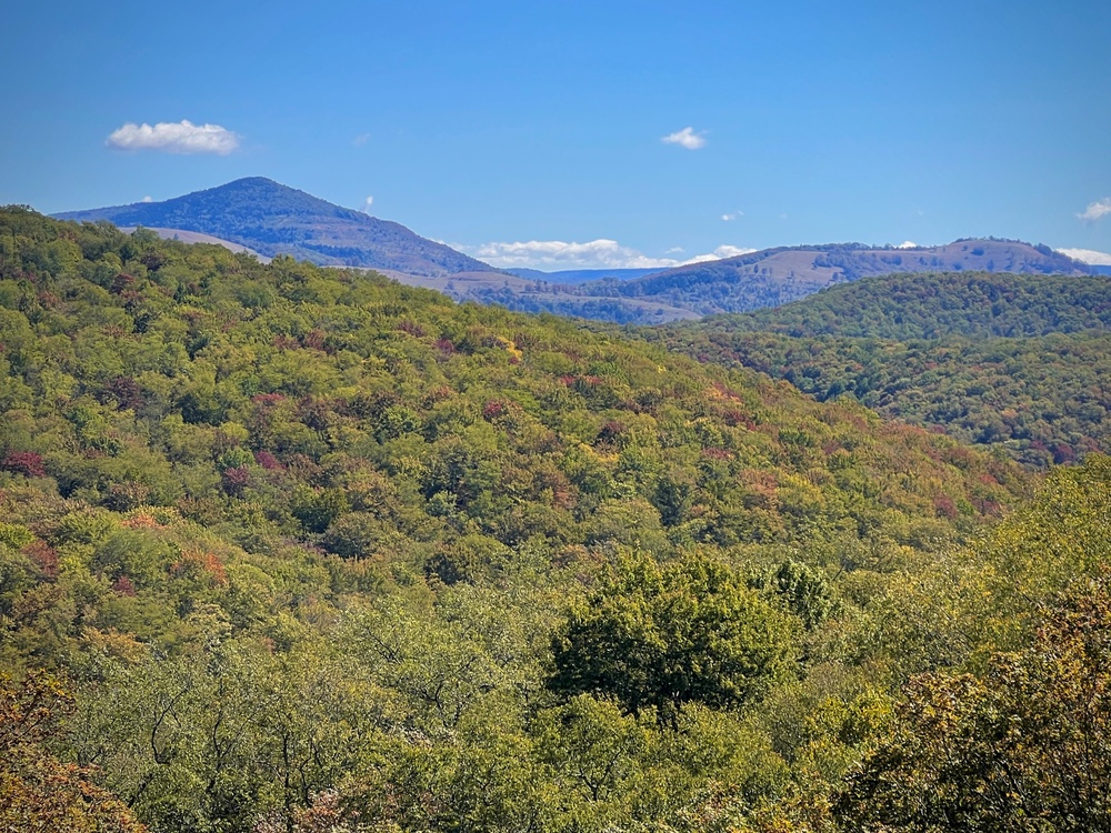 Fall Colors 2025