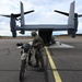 352d SOW trains with NATO partners during Exercise SOUTHERN GRIFFIN 25