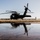 160th SOAR Performs Flight Operations During Gray Flag 2025 160th SOAR Performs Flight Operations During Gray Flag 2025