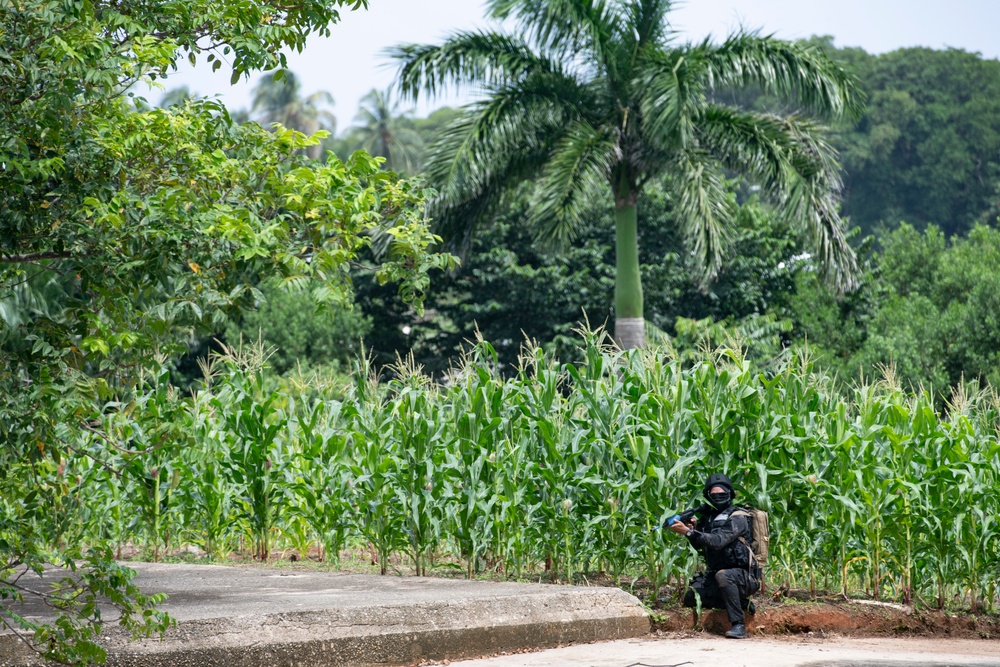 SOCSOUTH and Panamanian Special Forces conduct combined air assault