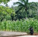 SOCSOUTH and Panamanian Special Forces conduct combined air assault