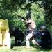 Shoot, Move, Communicate training