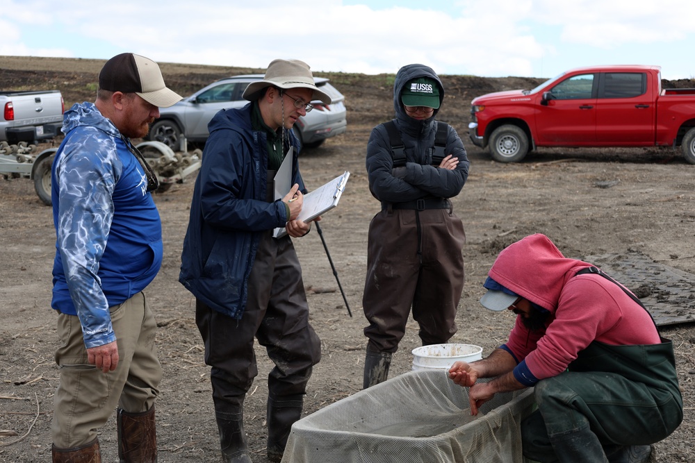 Several agencies use muscles to relocate mussels, fish in Red River of the North