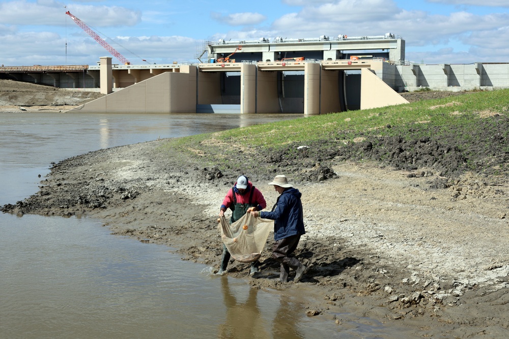Several agencies use muscles to relocate mussels, fish in Red River of the North