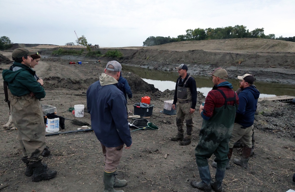 Several agencies use muscles to relocate mussels, fish in Red River of the North