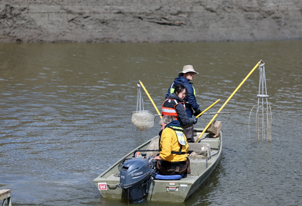 Several agencies use muscles to relocate mussels, fish in Red River of the North