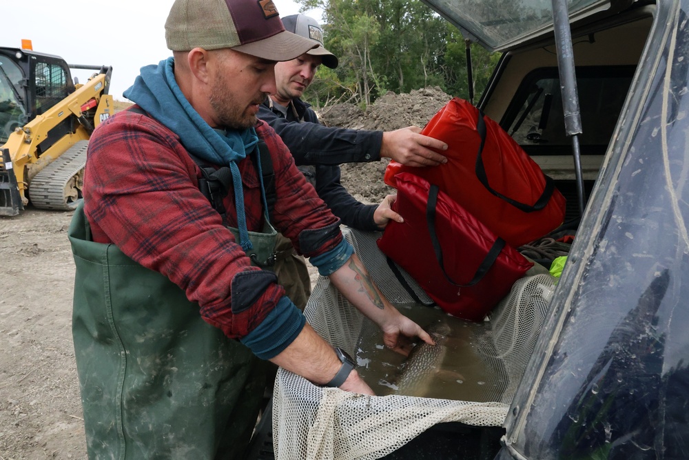 Several agencies use muscles to relocate mussels, fish in Red River of the North