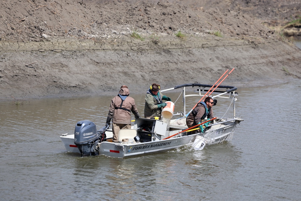 Several agencies use muscles to relocate mussels, fish in Red River of the North