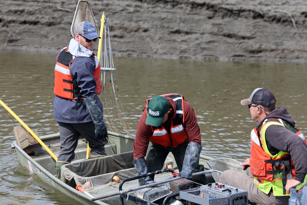 Several agencies use muscles to relocate mussels, fish in Red River of the North