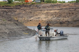 Several agencies use muscles to relocate mussels, fish in Red River of the North