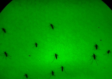 Providing Aerial Spray to the Joint Force
