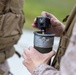 Marines with Infantry Training Battalion participate in a training event