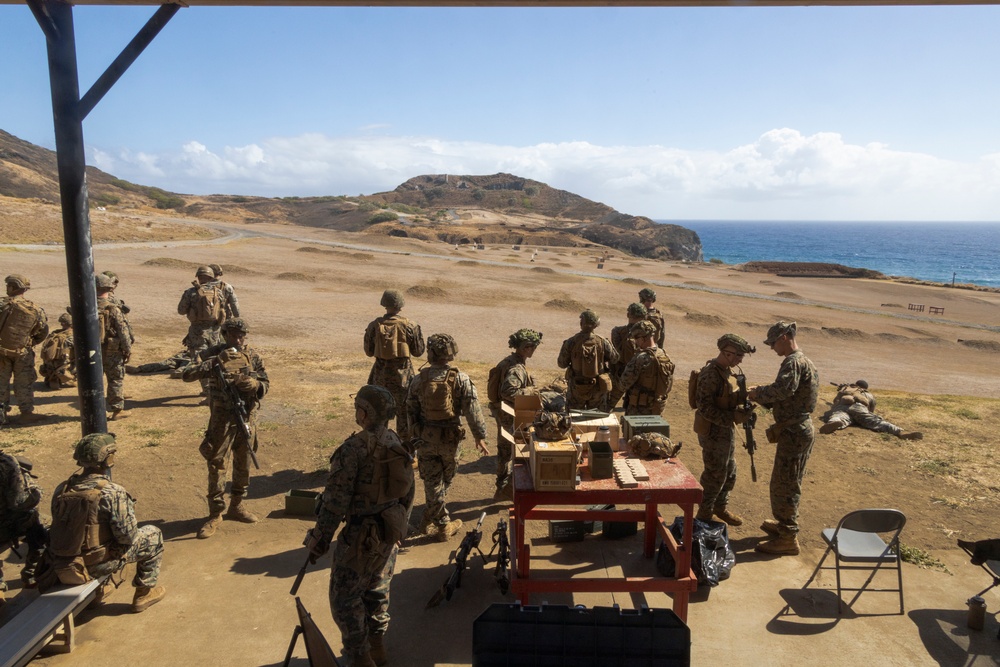 3rd Littoral Combat Team Conducts Live Fire Basic Skills Training