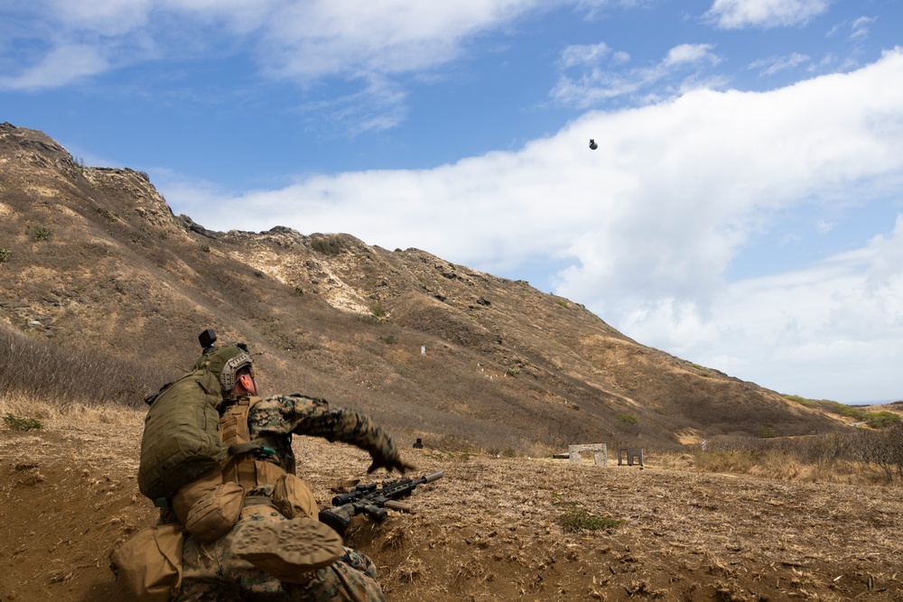 3rd Littoral Combat Team Conducts Live Fire Basic Skills Training