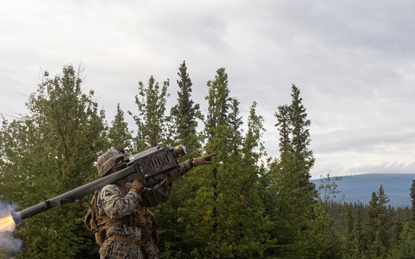 Arctic Edge 2025: 3rd Low Altitude Air Defense Battalion Stinger Shoot