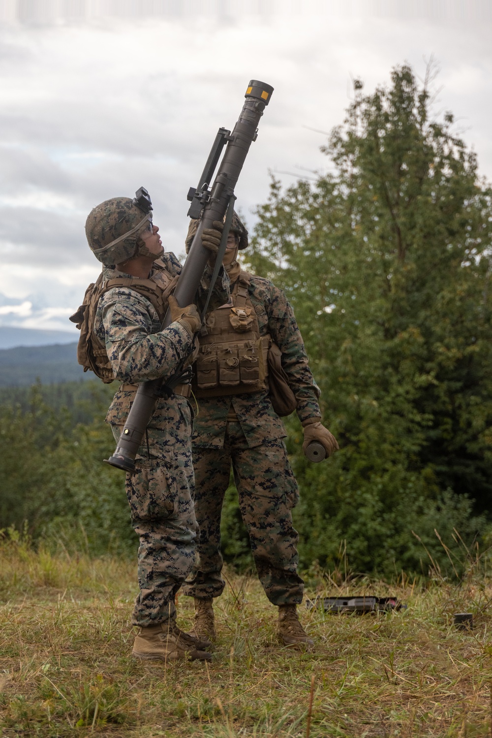 Arctic Edge 2025: 3rd Low Altitude Air Defense Battalion Stinger Shoot
