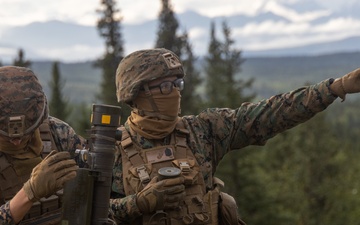 Arctic Edge 2025: 3rd Low Altitude Air Defense Battalion Stinger Shoot