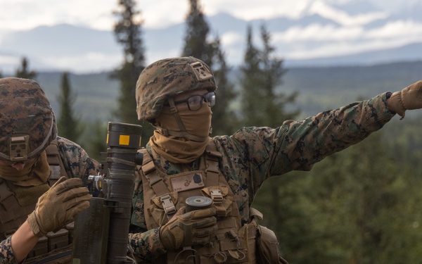 Arctic Edge 2025: 3rd Low Altitude Air Defense Battalion Stinger Shoot