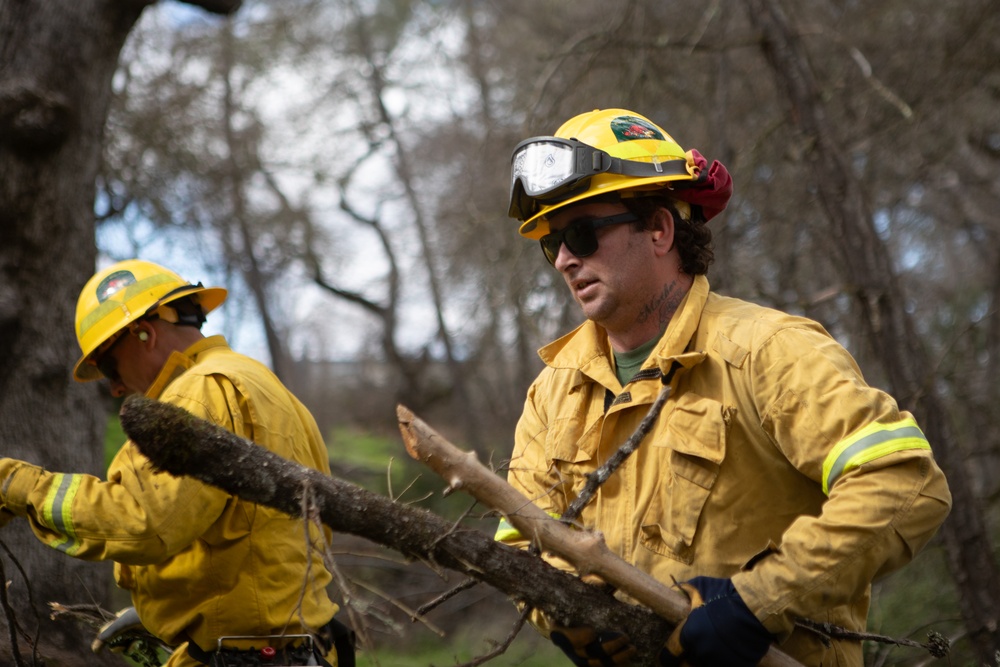Community Wildfire Defense Grants