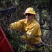 Community Wildfire Defense Grants