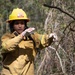 Community Wildfire Defense Grants