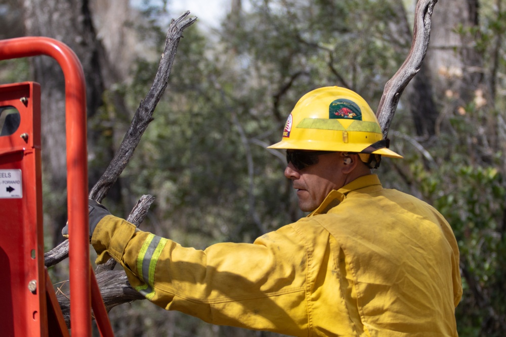 Community Wildfire Defense Grants