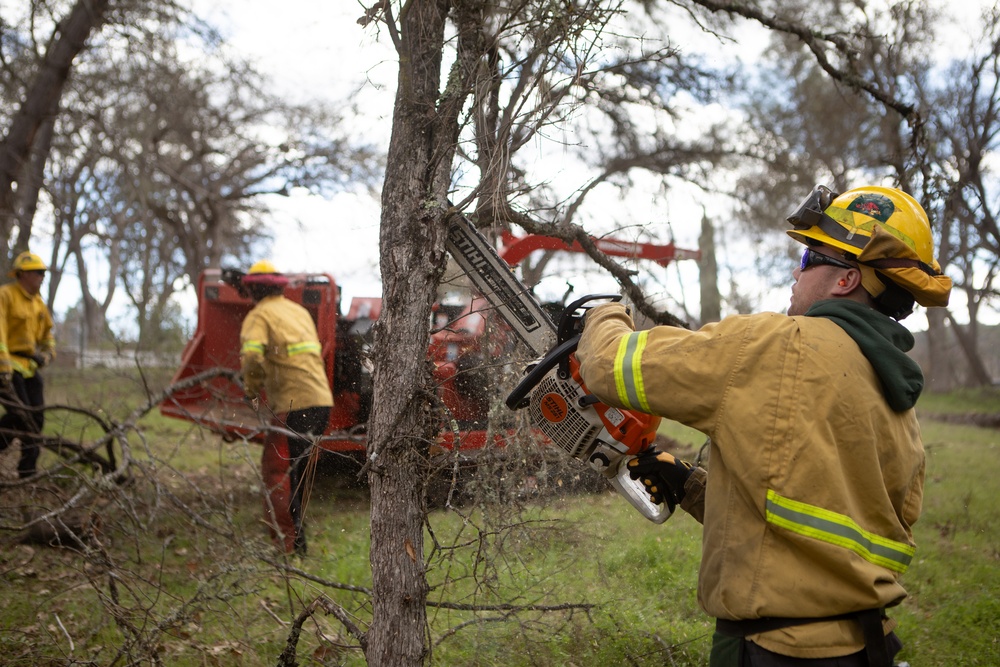Community Wildfire Defense Grants