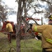 Community Wildfire Defense Grants