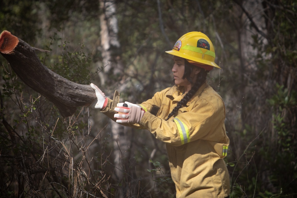 Community Wildfire Defense Grants