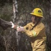 Community Wildfire Defense Grants