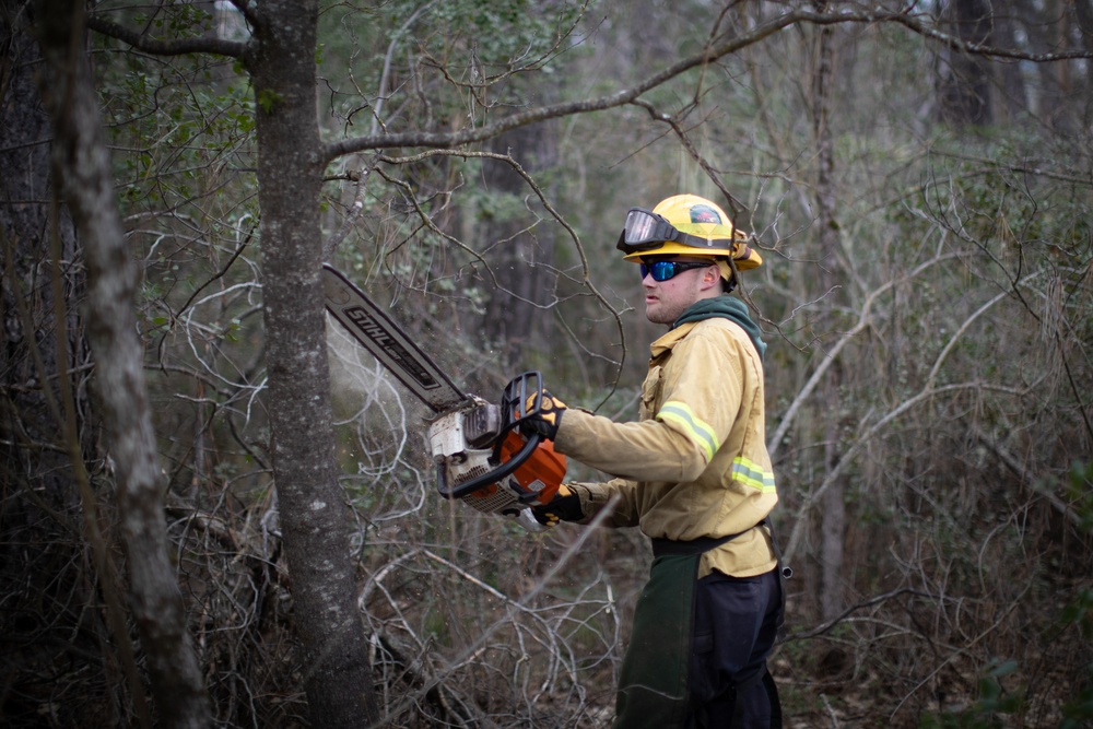 Community Wildfire Defense Grants