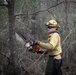Community Wildfire Defense Grants
