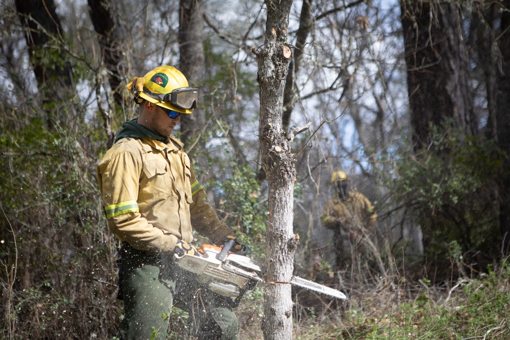 Community Wildfire Defense Grants