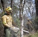 Community Wildfire Defense Grants