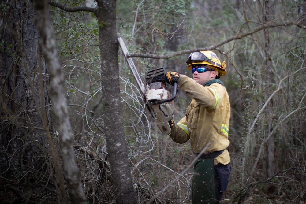 Community Wildfire Defense Grants