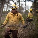 Community Wildfire Defense Grants