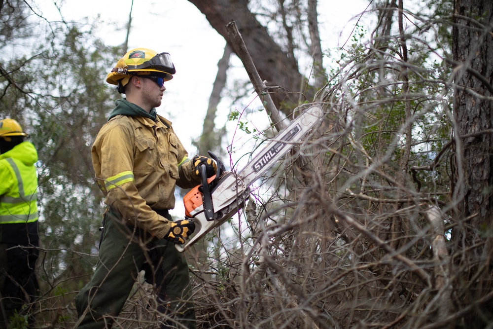 Community Wildfire Defense Grants