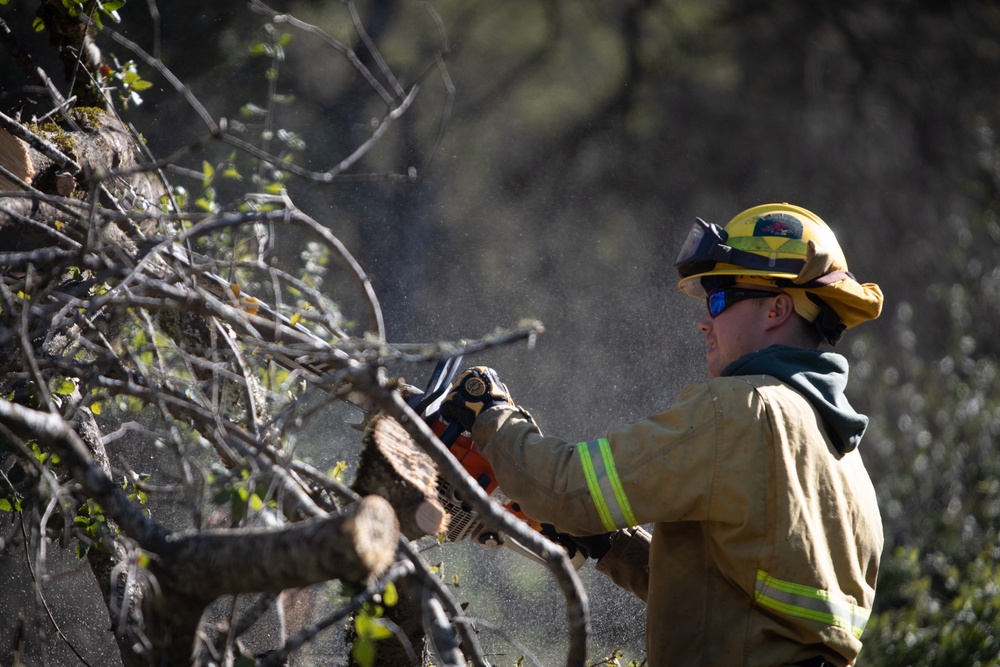 Community Wildfire Defense Grant
