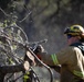 Community Wildfire Defense Grant