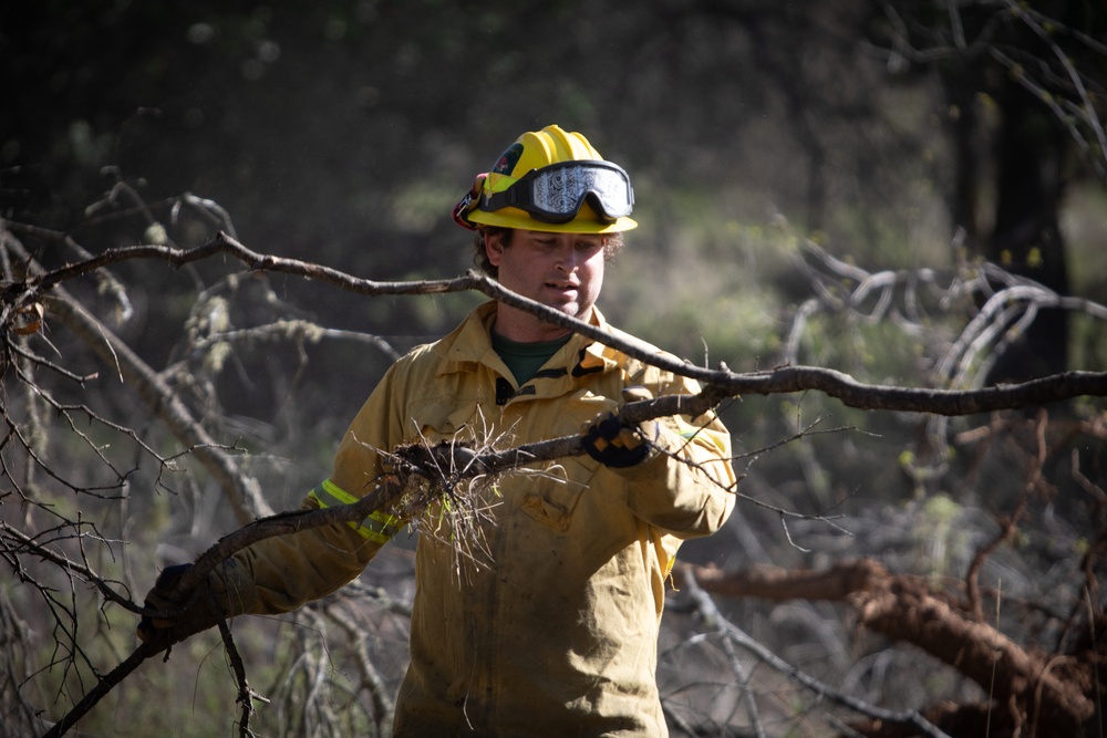 Community Wildfire Defense Grant