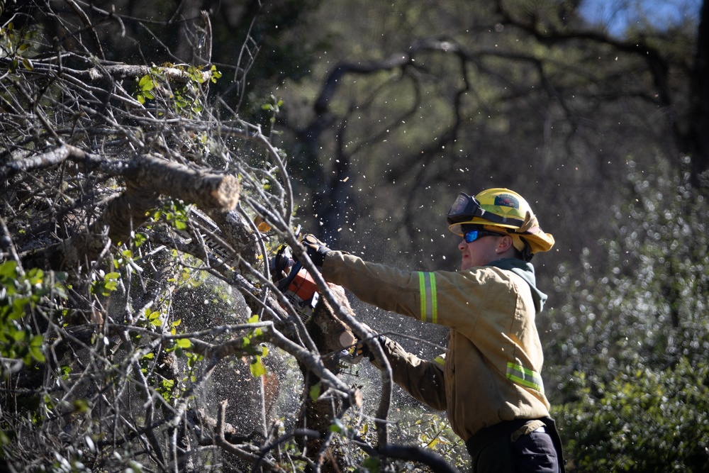 Community Wildfire Defense Grant