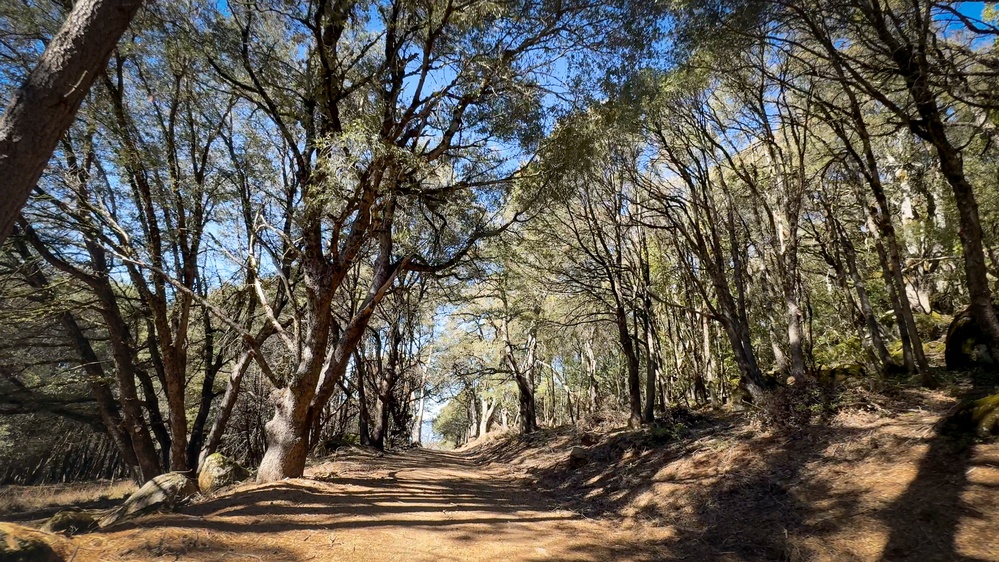 Community Wildfire Defense Grant