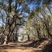 Community Wildfire Defense Grant