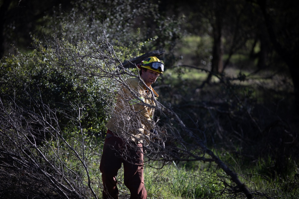 Community Wildfire Defense Grant