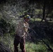 Community Wildfire Defense Grant