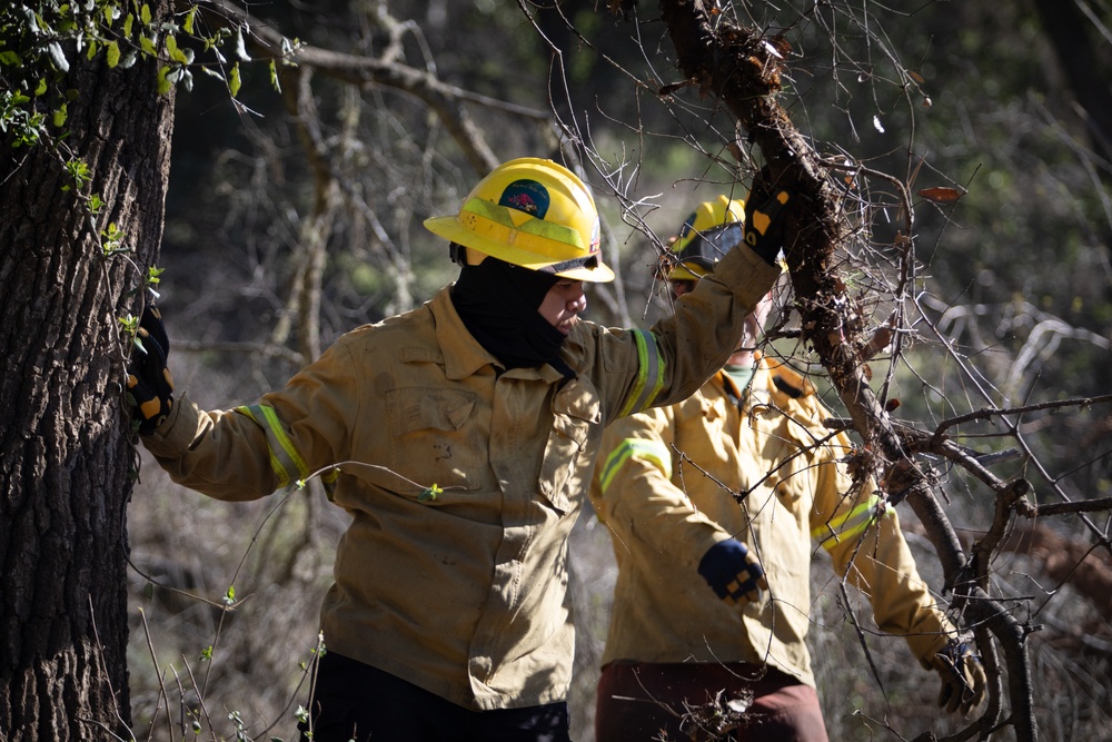 Community Wildfire Defense Grant