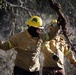 Community Wildfire Defense Grant