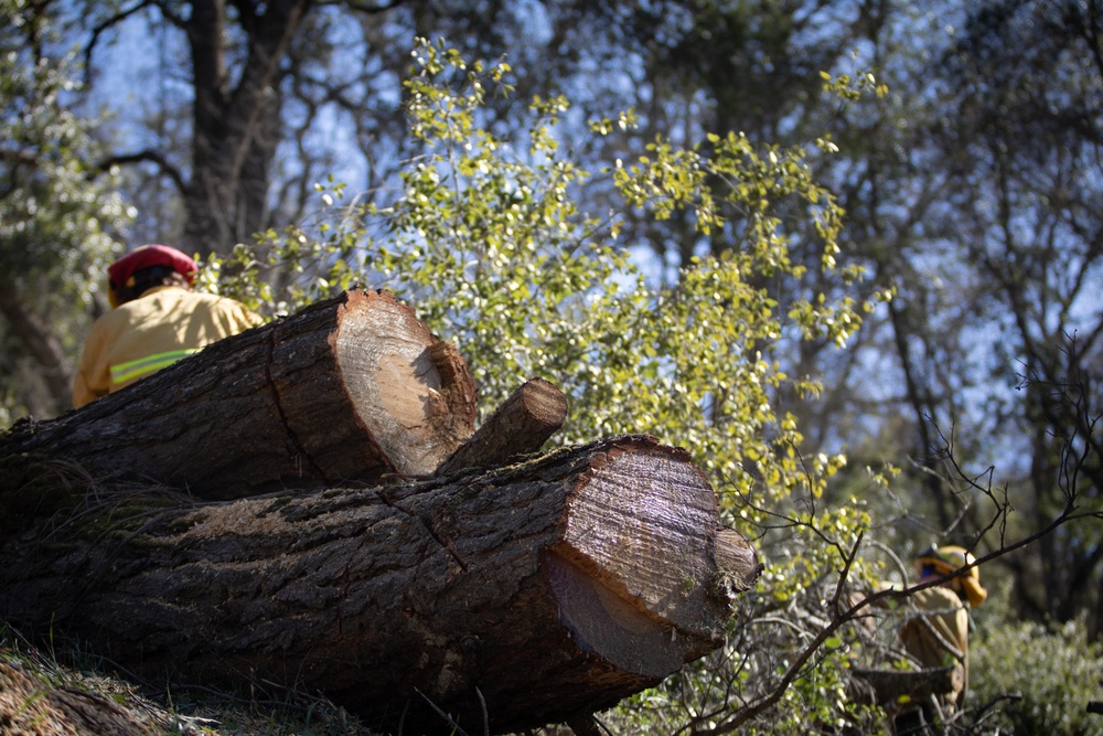 Community Wildfire Defense Grant