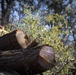 Community Wildfire Defense Grant