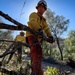 Community Wildfire Defense Grant